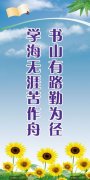 米乐m6:找4.2米货车拉货(4.2米货车拉货价目表)